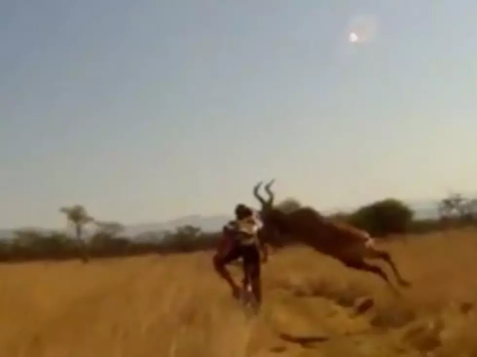 Scary Trampling of Mountain Biker by Antelope Buck Caught on Camera [VIDEO]