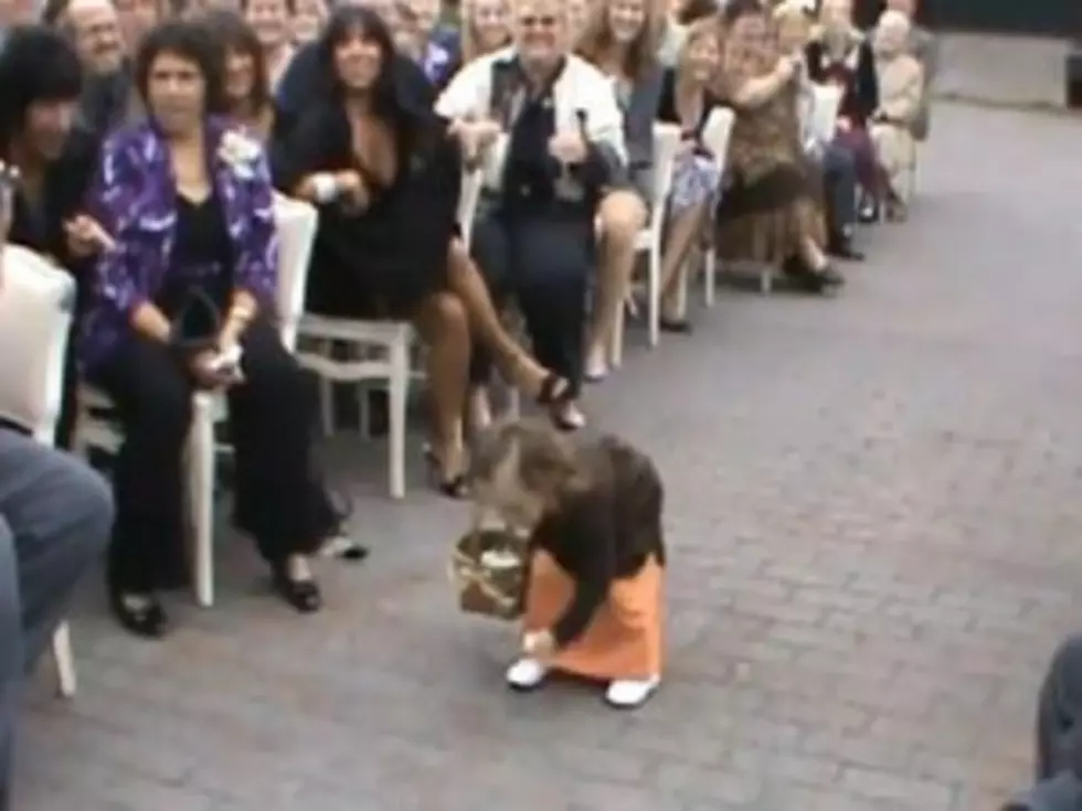 Flower Girl Doesn&#8217;t Quite Grasp the Concept of Being a Flower Girl [VIDEO]