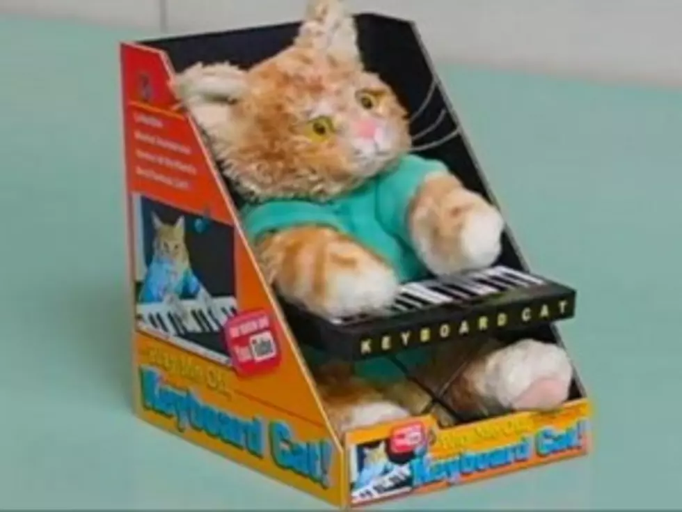 &#8216;Keyboard Cat&#8217; is Now a Huggable Stuffed Toy [VIDEO]
