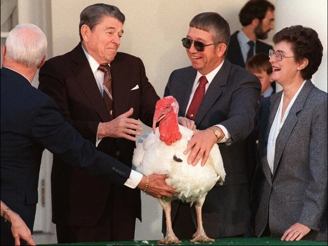Reagan, president, Thanksgiving, turkey, pardon