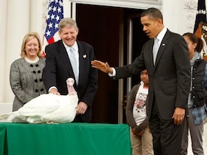 thanksgiving turkey president barack oabama pardon