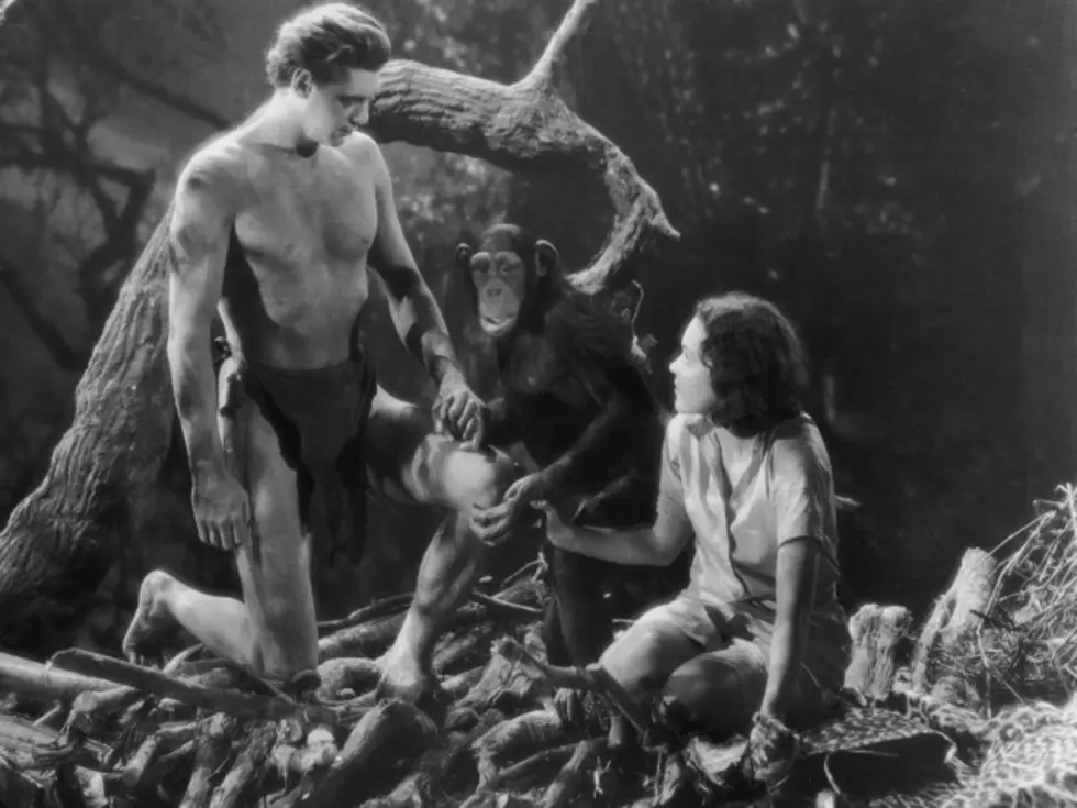 Legendary Chimp &#8216;Cheetah&#8217; From Tarzan Movies Dies at 80 [VIDEOS]