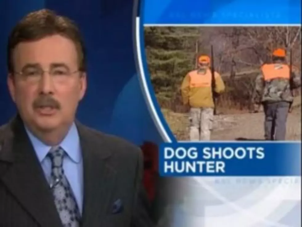 Dog Shoots Hunter in the Butt in Most Embarrassing Hunting Accident of All Time [VIDEO]