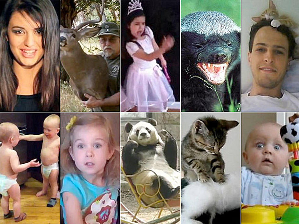 The Best Viral Videos of 2011 — Chosen by You!