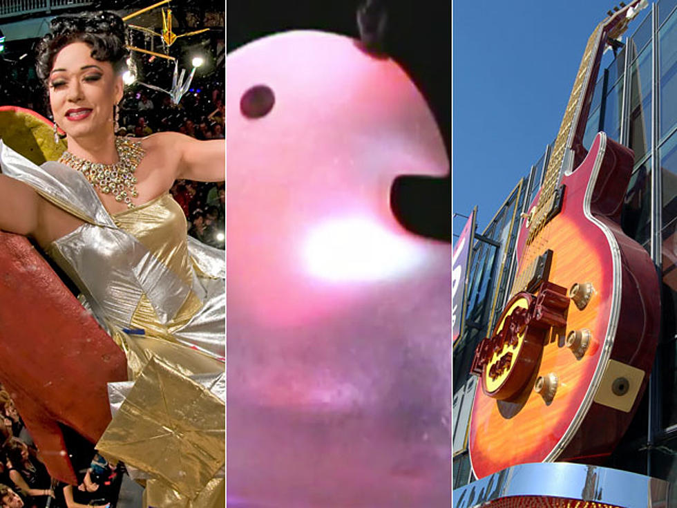 The 10 Weirdest Things To Drop On New Year&#8217;s Includes Drag Queens And Possums [PHOTOS, VIDEOS]