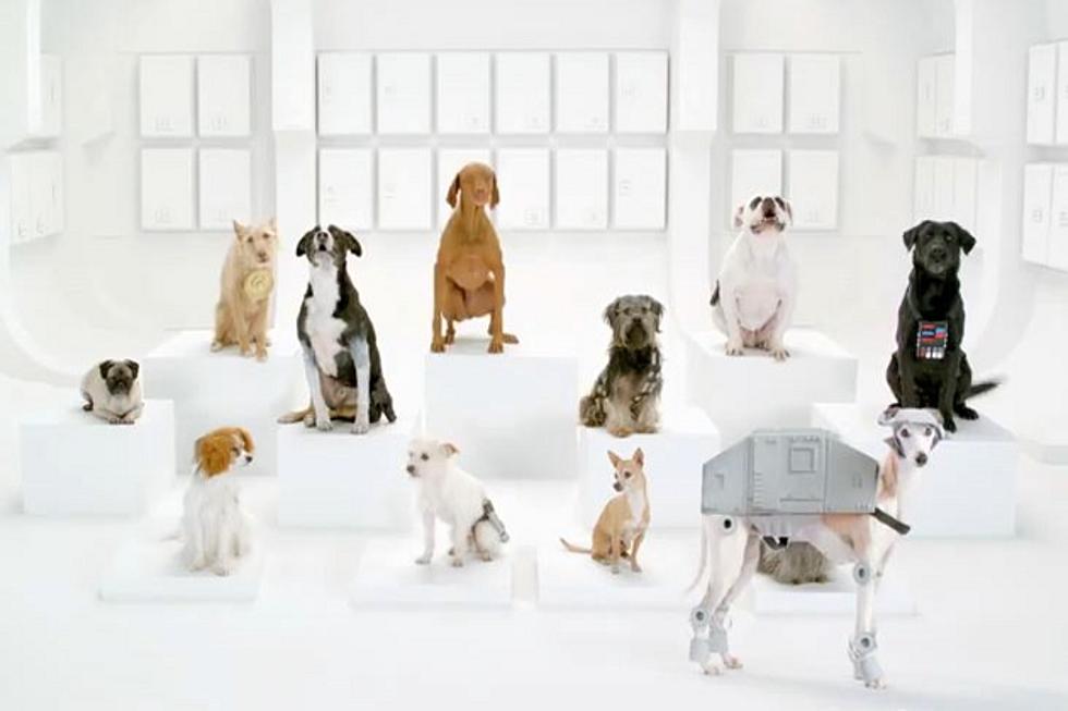 Volkswagen Turns to &#8216;The Bark Side&#8217; for New Super Bowl 2012 Commercial [VIDEO]