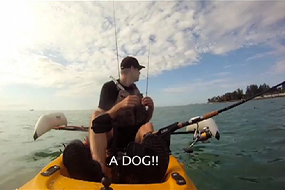 Kayaker Rescues Injures Dog In The Gulf Of Mexico [VIDEO]