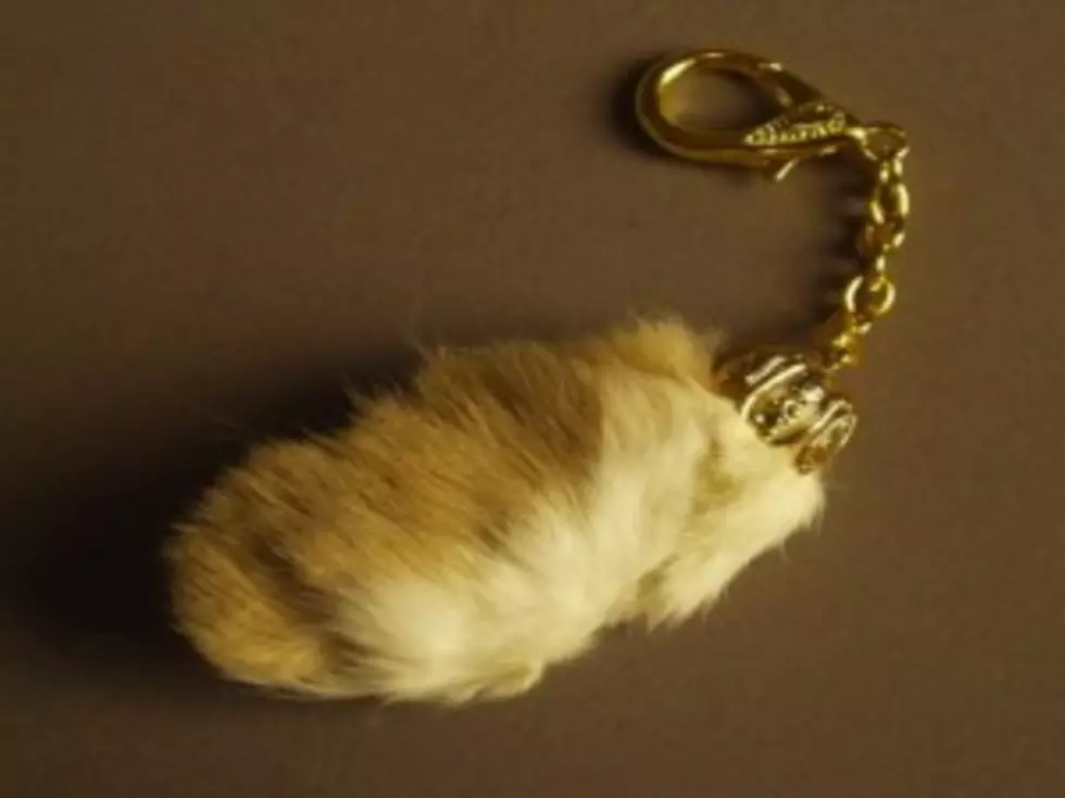 Why Do Some People Carry Around a Lucky Rabbit&#8217;s Foot?