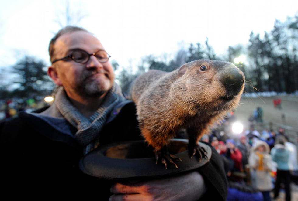 10 Things You Didn&#8217;t Know About Groundhog Day