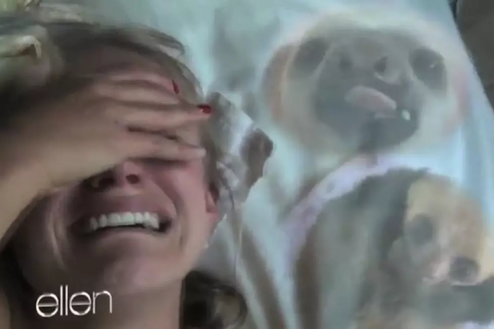 Kristen Bell&#8217;s Sloth Breakdown Gets the Inevitable &#8216;Auto-Tune the News&#8217; Treatment