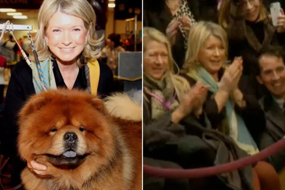 Martha Stewart&#8217;s Dog Wins Best in Breed at 2012 Westminster