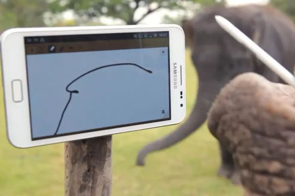 Even Elephants Can Use the Galaxy Note Smartphone