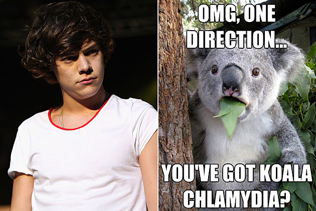 One Direction-Koala Chlamydia