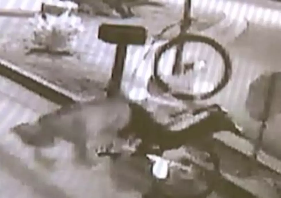 Thief Steals Bike, Completely Fails Riding Away Part