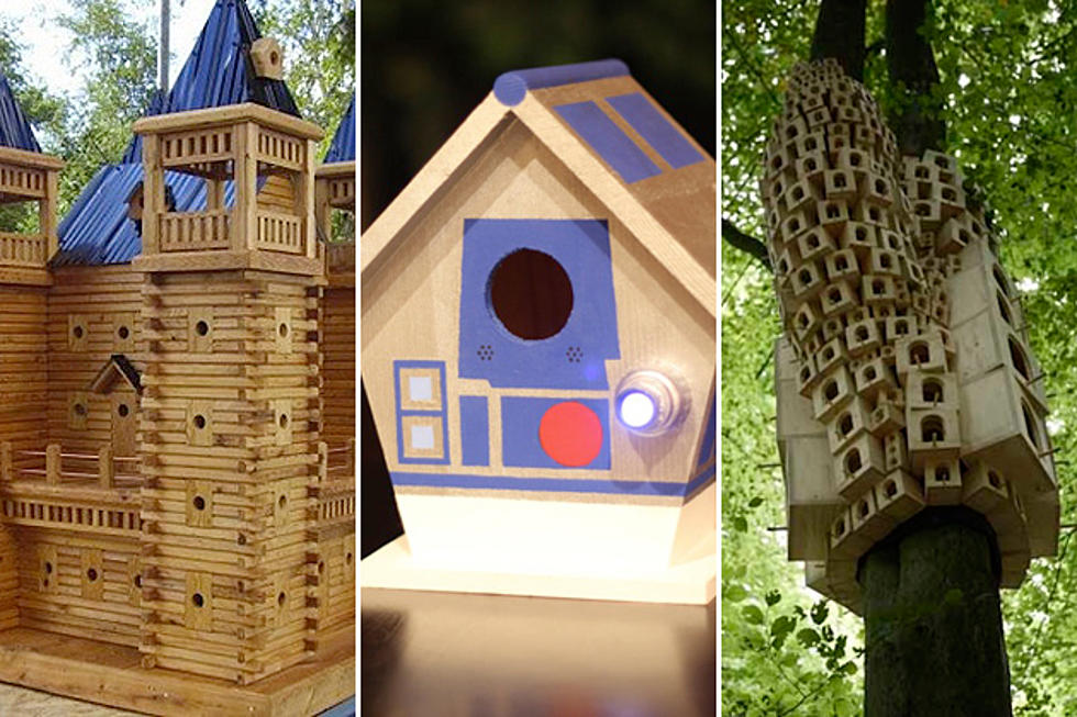 12 Awesome Birdhouses for Summer