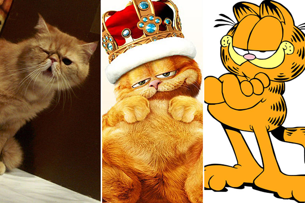 11 Things You Didn&#8217;t Know About &#8216;Garfield&#8217;