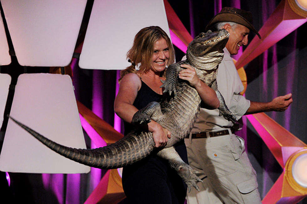Jack Hanna&#8217;s Gator Tries to Eat a 2012 Daytime Emmy