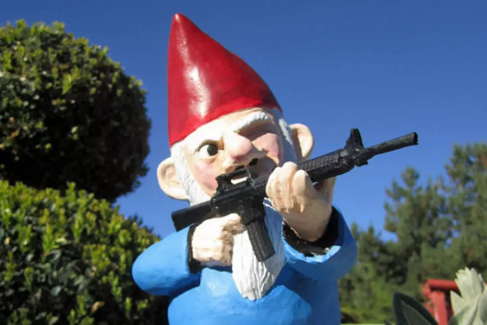 Gun-Toting Garden Gnomes Go on the Offensive
