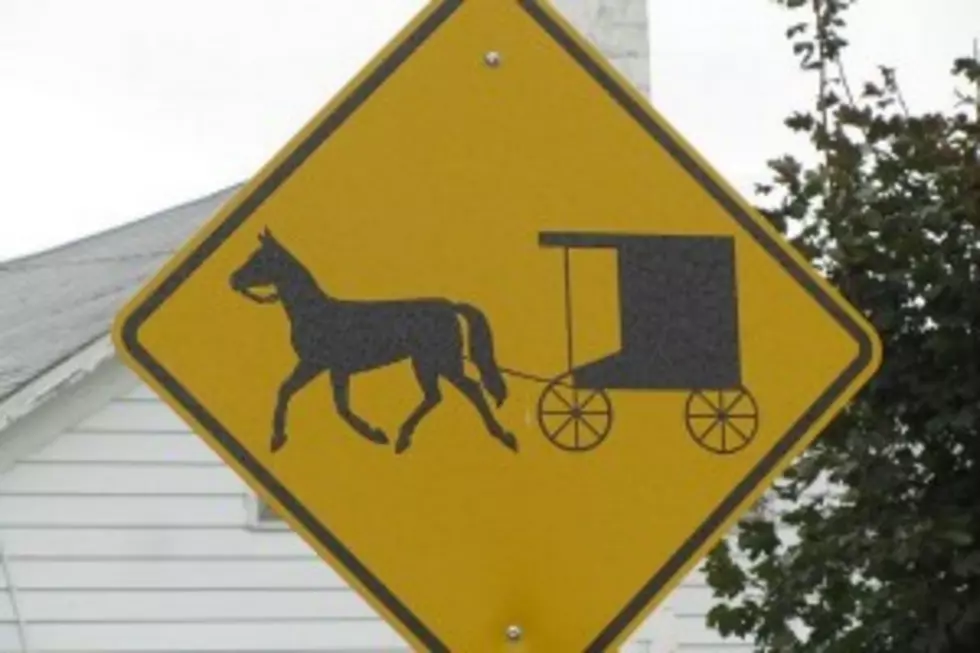 Amish Man Arrested For Arranging Horse and Buggy Tryst With 12-Year-Old Girl