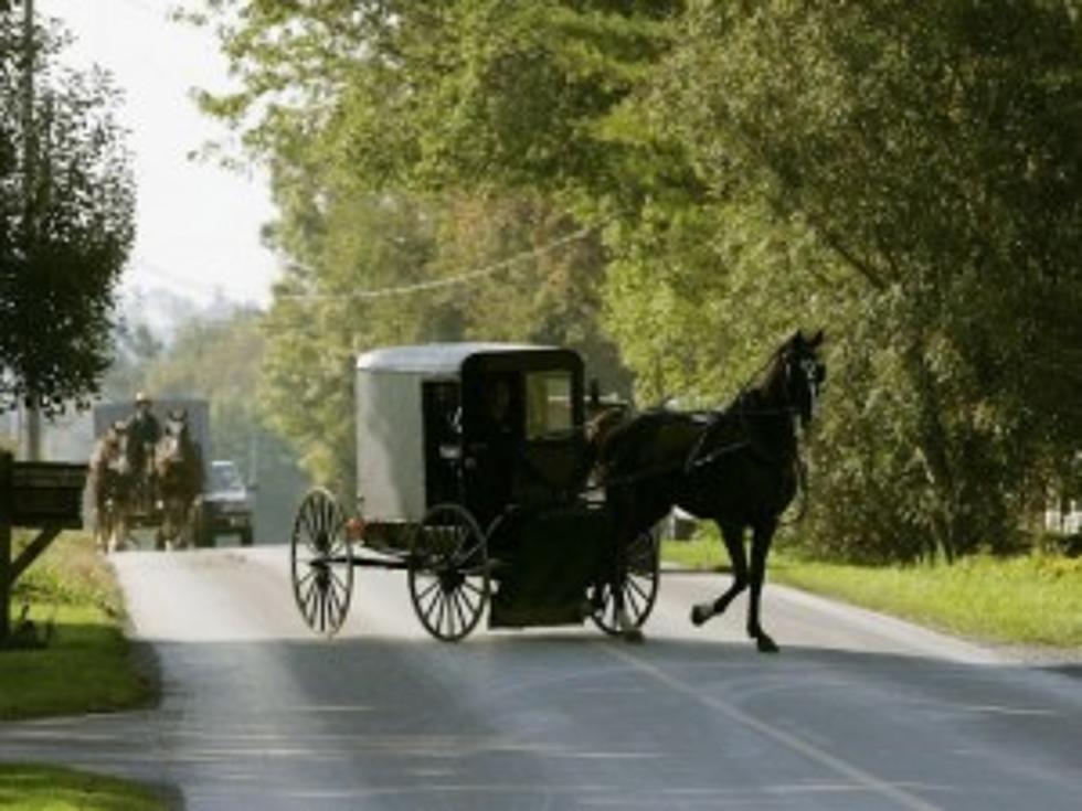 Amish Teen Leads Police on Ridiculous Horse and Buggy Chase