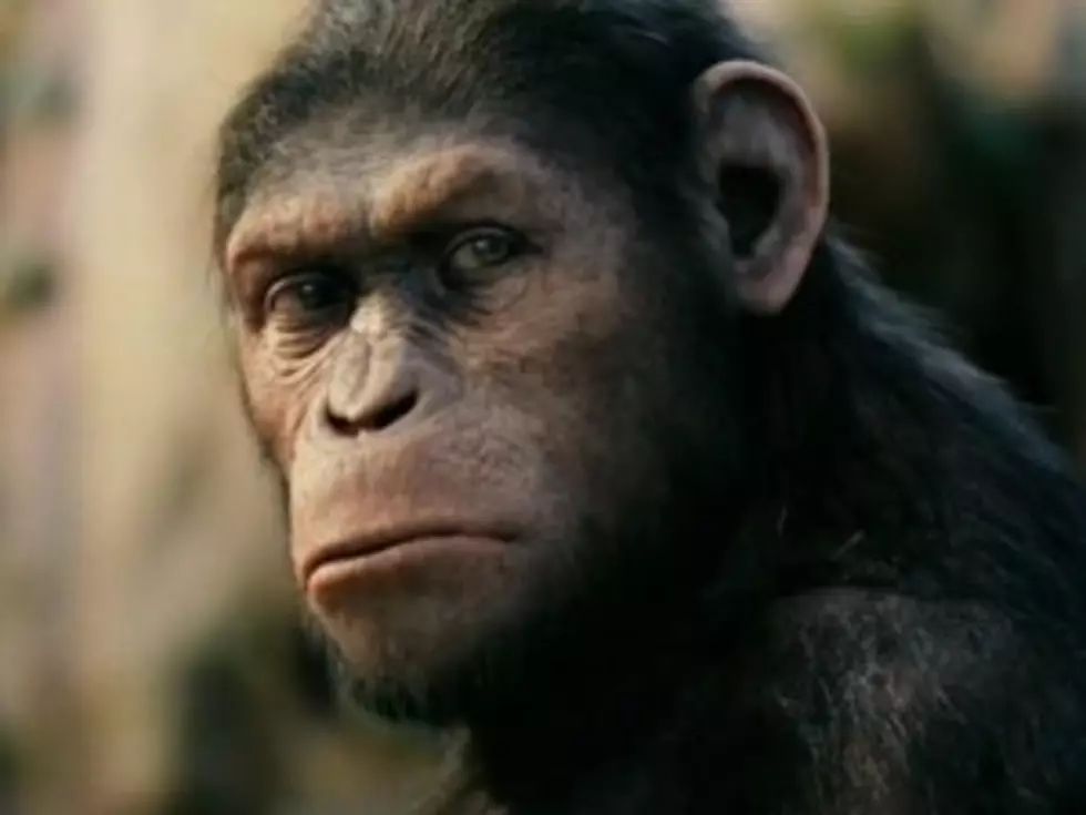 New Movie Releases: &#8216;Rise of the Planet of the Apes,&#8217; &#8216;The Change-Up&#8217; [VIDEOS]
