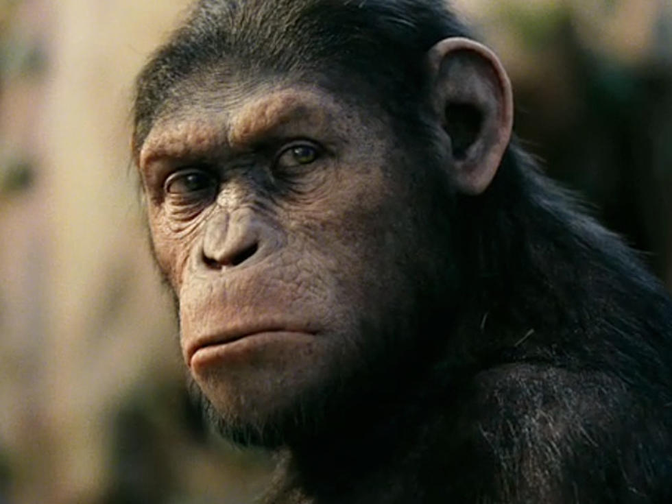 Weekend Box Office: &#8216;Rise of the Planet of the Apes&#8217; Retains the Top Spot