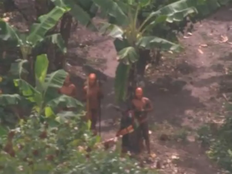 Missing Amazon Tribe Likely Overrun by Drug Smugglers
