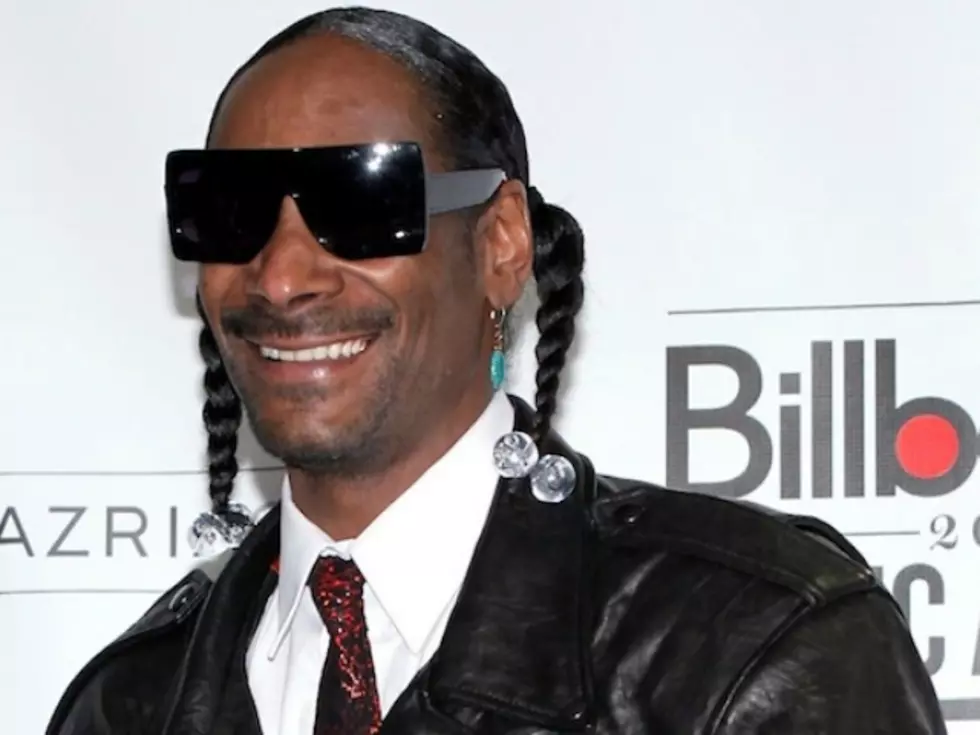 Is Snoop Dogg Going to Star in His Own Sitcom?