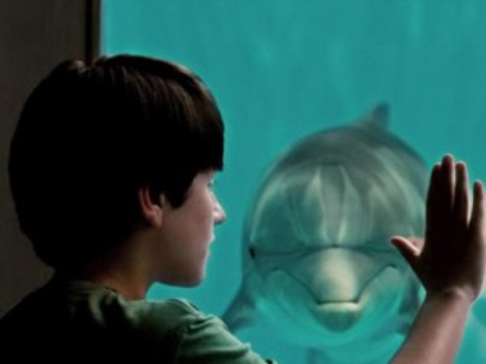 Weekend Box Office: &#8216;Dolphin Tale&#8217; Swims to the Top of the Chart [VIDEO]