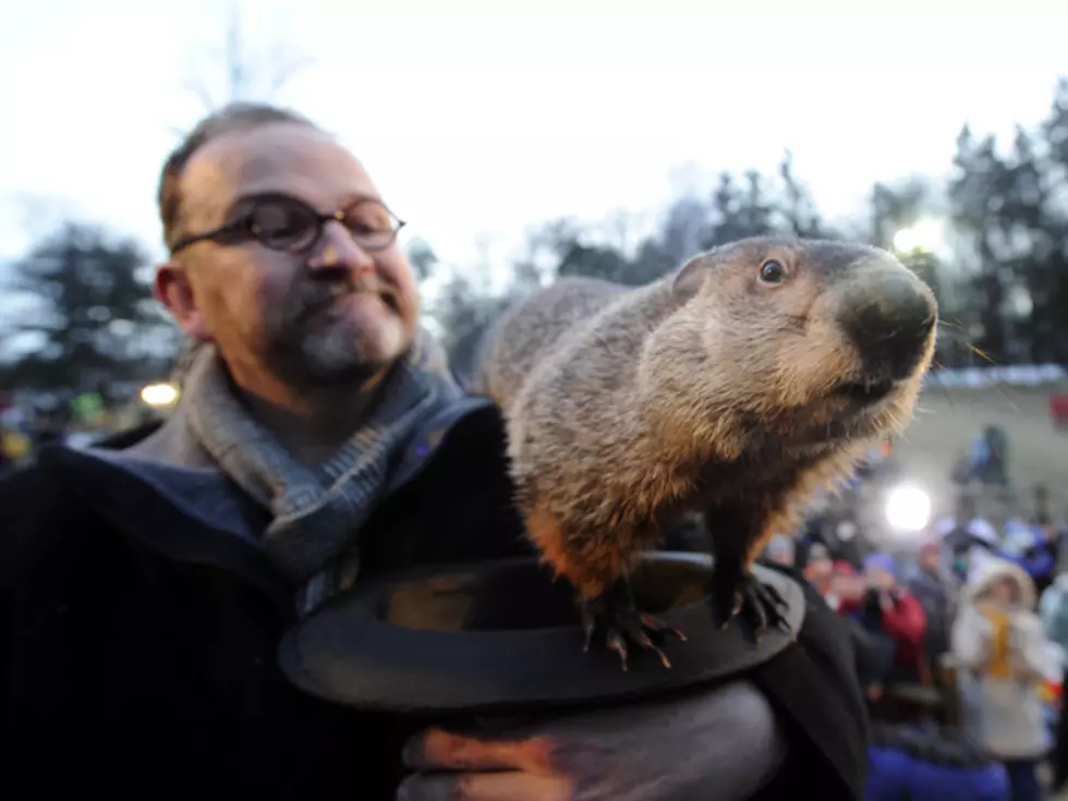 This Day in History for February 2 – First Groundhog Day and More