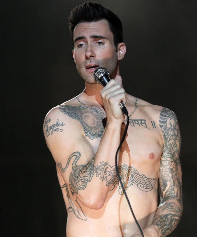 I saw today that the lead singer from Maroon 5 Adam Levine will be releasing