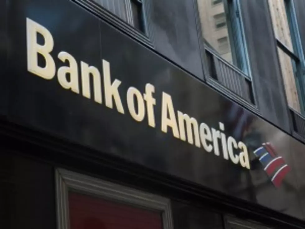 What Is Bank of America Charging Customers for This Time? – Dollars and Sense