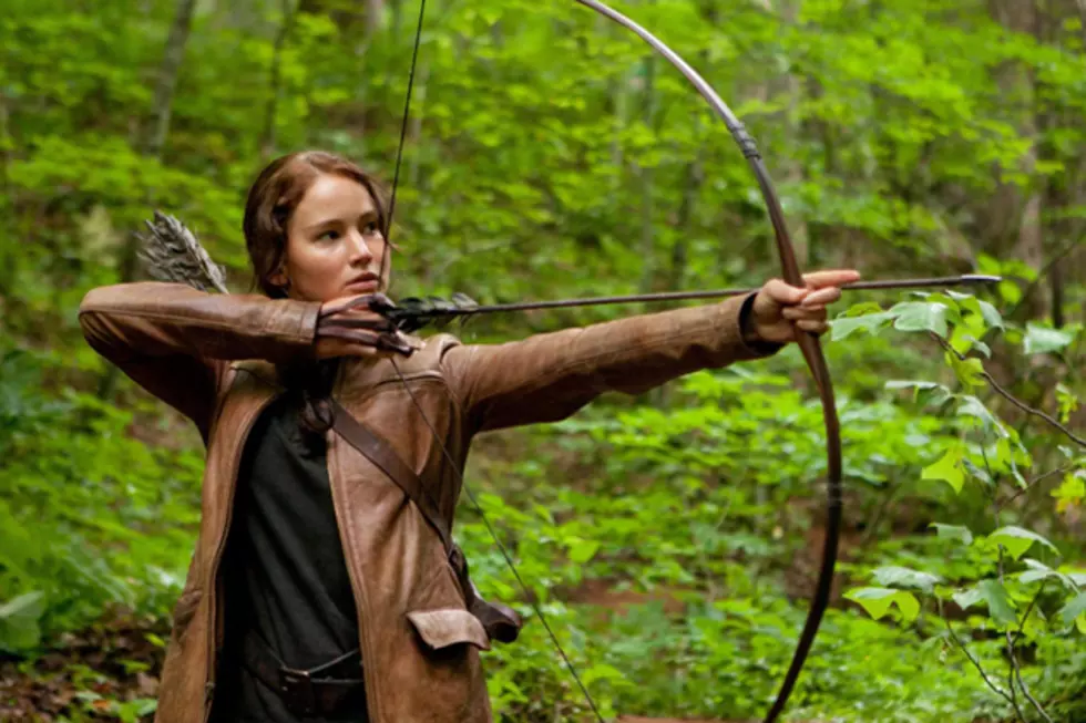 Movie Box Office Winner -The Hunger Games