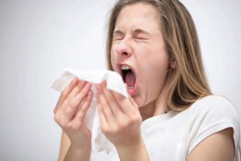 Why Does Sneezing Make Us Feel So Good?