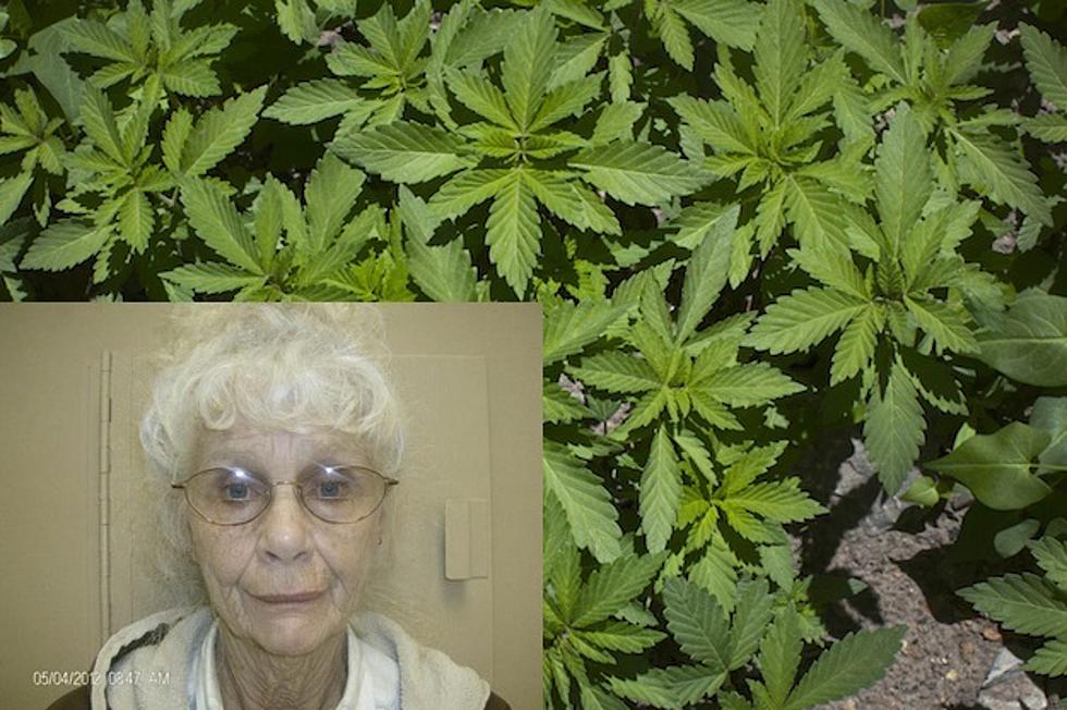 15 Suggested Titles for the Inevitable Movie About the Oklahoma Granny Drug Kingpin