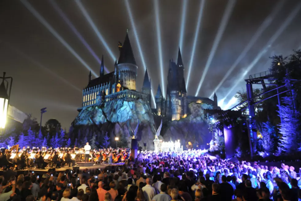 US Theme Park Attendance Is Soaring Higher Than a Roller Coaster — Dollars and Sense