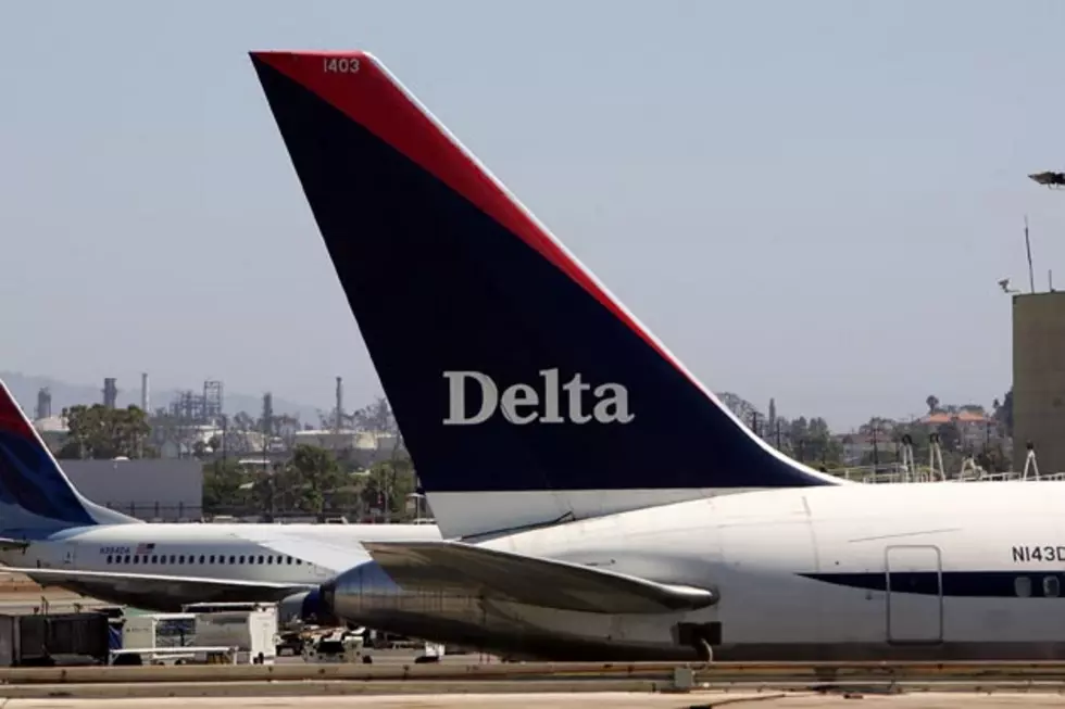 Needles Found in Delta Air Lines In-Flight Food