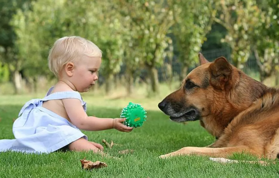 Man&#8217;s Best Friend May Also Be Children&#8217;s Best Friend Since Study Reveals Dogs Keep Babies Healthy