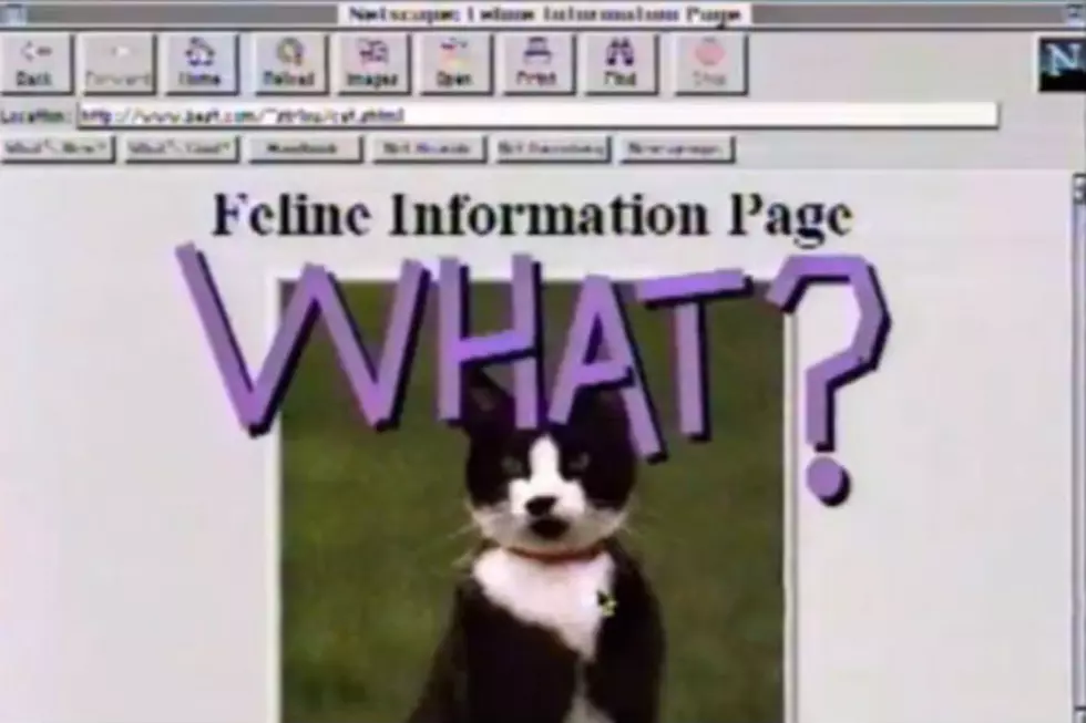 5th-Graders in Montana Predicted the Internet&#8217;s Future in 1995 [FBHW]