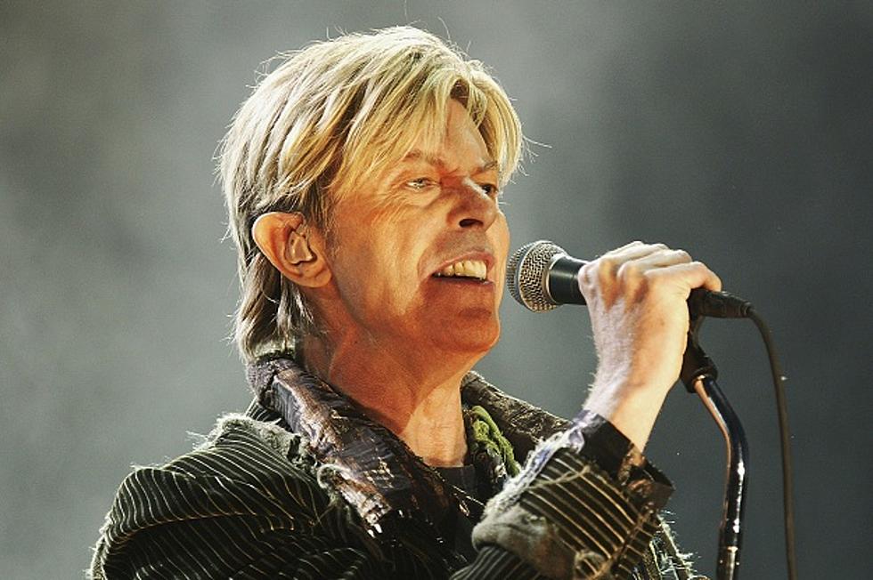 David Bowie Denies Museum Exhibition Participation