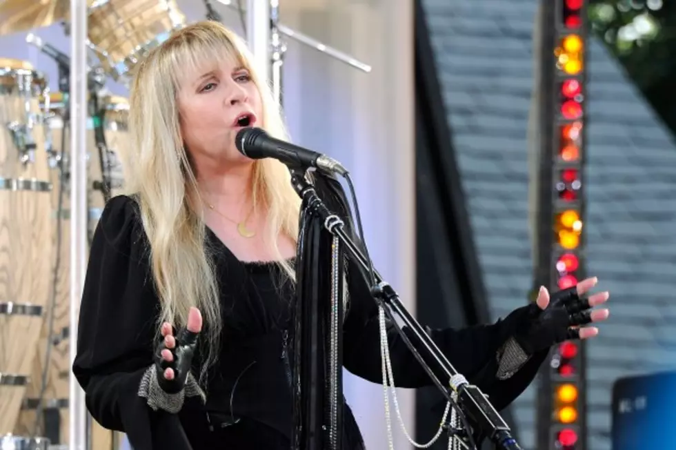 Stevie Nicks to Appear On &#8216;American Idol,&#8217; Adds More Tour Dates