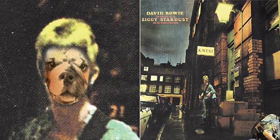 New David Bowie App Lets Anybody Become &#8216;Ziggy Stardust&#8217;