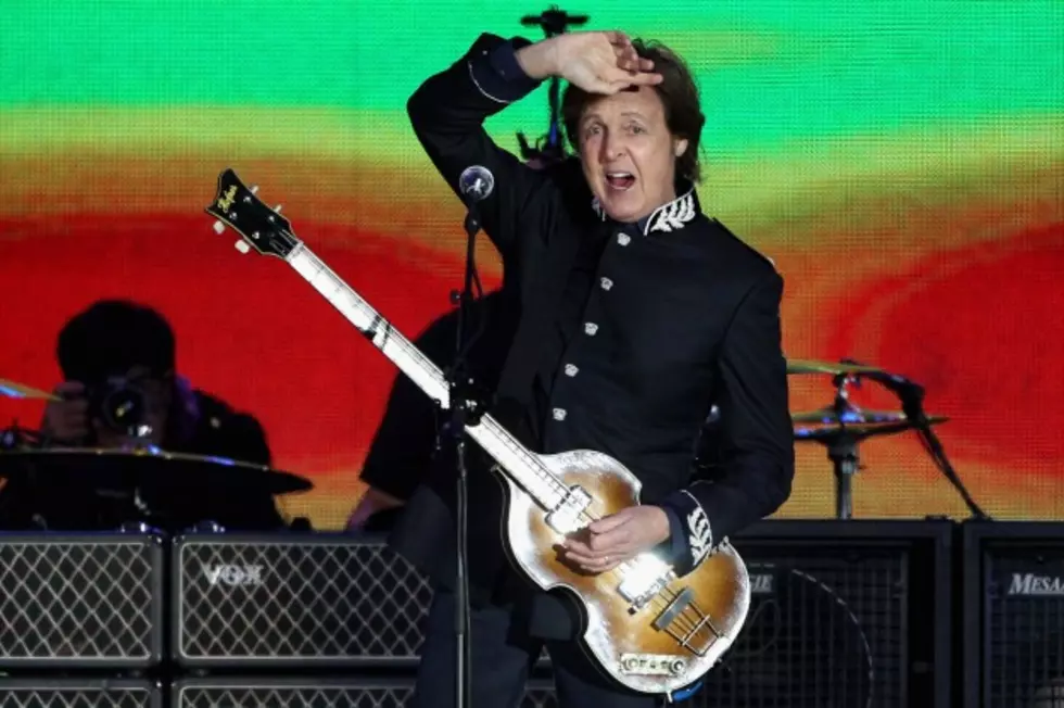 Paul McCartney Supporting Release of Abused Baby Elephant