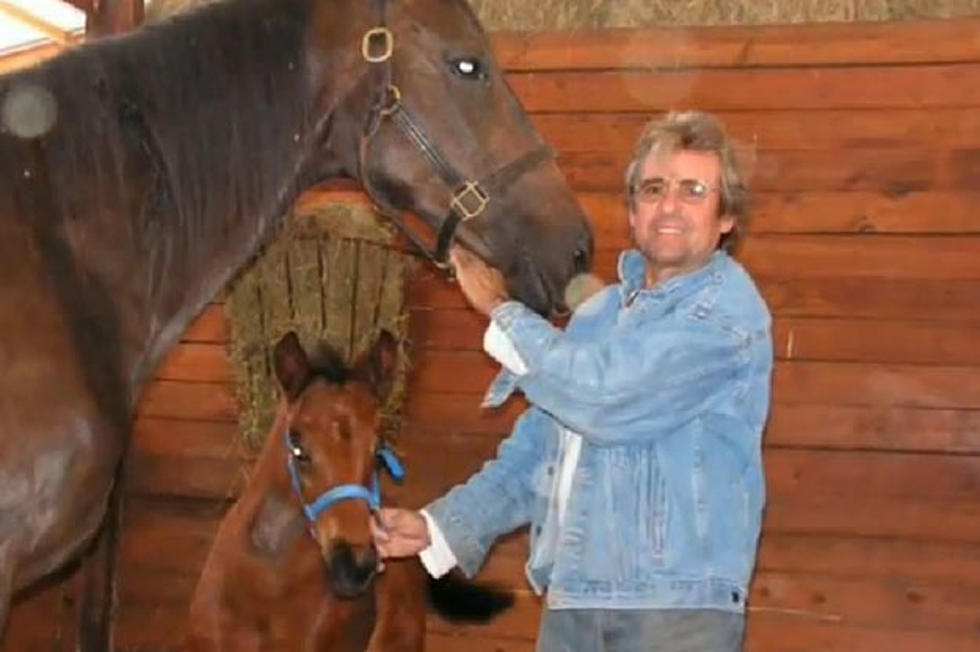 Davy Jones&#8217; Daughters Fight to Care for His Horses