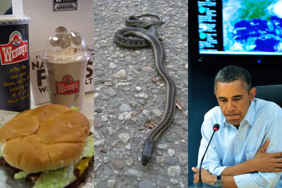 Pink Slime + Snake Warning Devices + Obama on Economics – Heller&#8217;s Monoblog