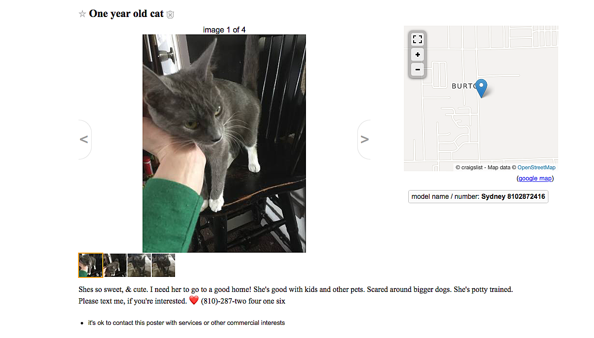 The Best of FREE on Flint Craigslist This Week - Cats and ...