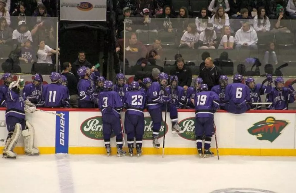 Little Falls Loses Opener in State Hockey Tournament
