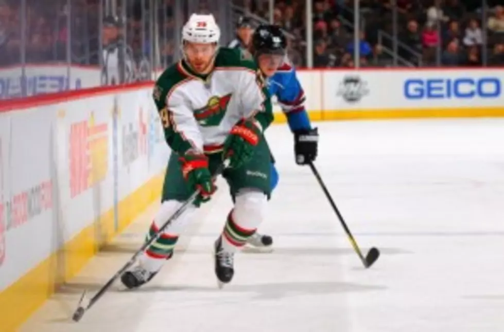 Wild Players Nate Prosser and Jason Zucker Are Coming To St. Cloud