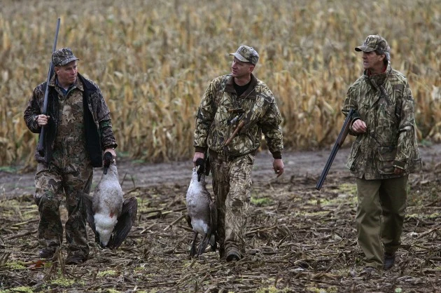 canada goose hunting season new york