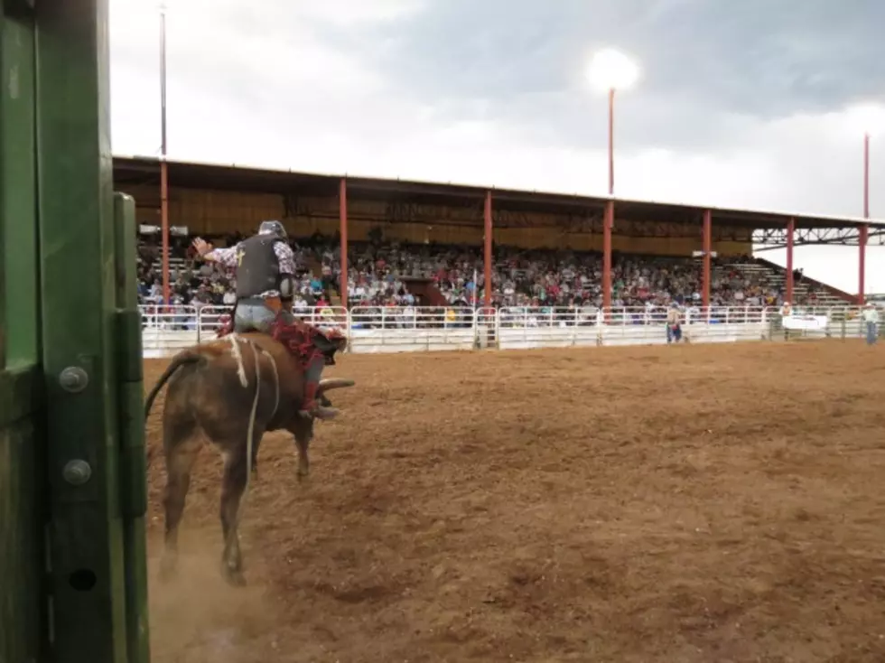 Mr. T Bull Riding Thrills Crowd During Laramie Jubilee Days [PHOTOS]